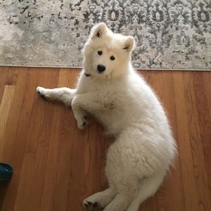 Meet your Posher, Tracey